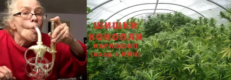 Марихуана SATIVA & INDICA  KRAKEN сайт  Каргополь 